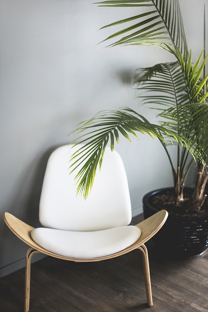 Mid-Century Modern Chair
